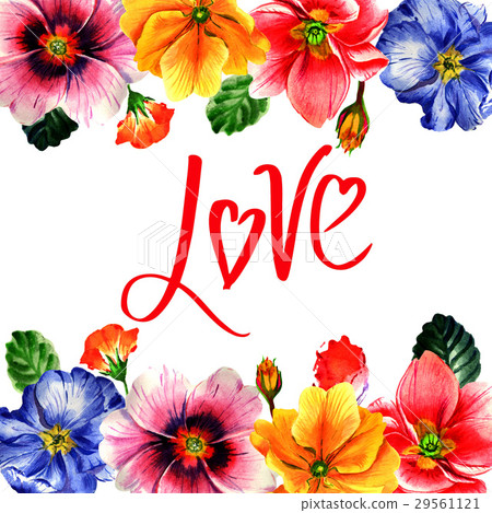 Wildflower Primrose flower frame in a watercolor 29561121