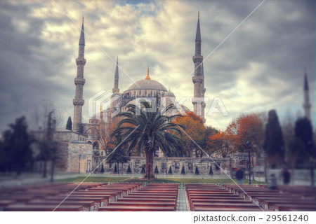 Turkey Turkey 29561240