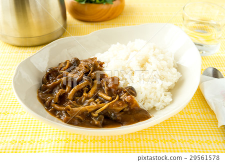 Mushroom Curry Curry Rice Japanese Style Mushroom Curry Curry Rice Japanese Style 29561578