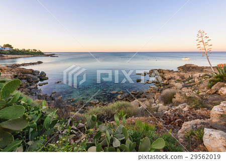 Evening view of sea view Evening view of sea view 29562019