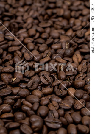 Coffee beans Coffee beans 29562309