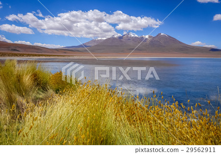 Altiplano laguna in sud Lipez reserva, Bolivia 29562911