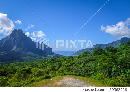 view of Opunohu and Cooks Bay in Moorea Island view of Opunohu and Cooks Bay in Moorea Island 29562938