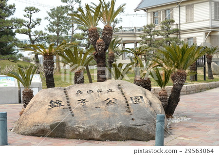 兵庫縣舞子公園 29563064