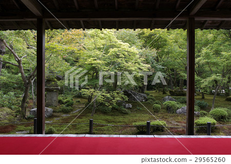 日式庭院 日式庭院 29565260