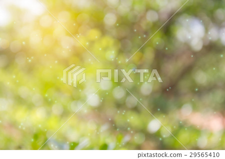 Glow light blow pink bokeh and sunlight Glow light blow pink bokeh and sunlight 29565410