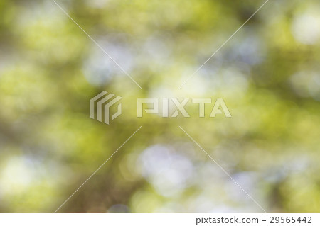 Dreamy green bokeh background Dreamy green bokeh background 29565442