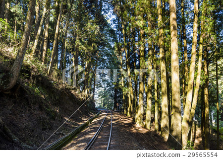 Alishan Forest railway in Taiwan  29565554
