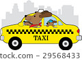 New York Taxi Dog 29568433