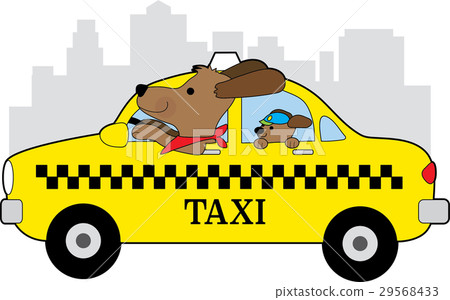 New York Taxi Dog 29568433