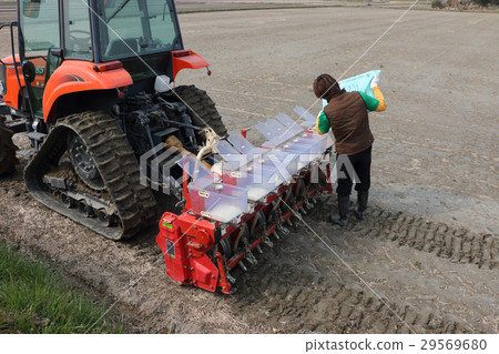 Direct application of paddy rice paddy field Work fertilizer application 29569680