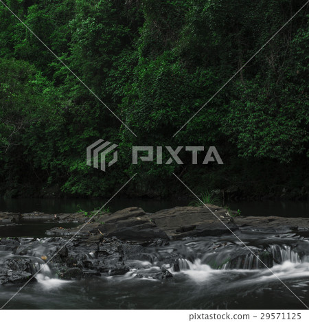 Gardners Falls in Maleny, Sunshine Coast Gardners Falls in Maleny, Sunshine Coast 29571125