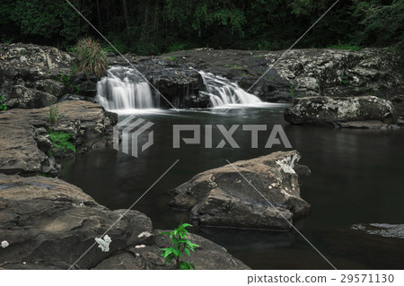 Gardners Falls in Maleny, Sunshine Coast Gardners Falls in Maleny, Sunshine Coast 29571130