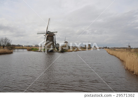 Windmill of the Netherlands 29571302