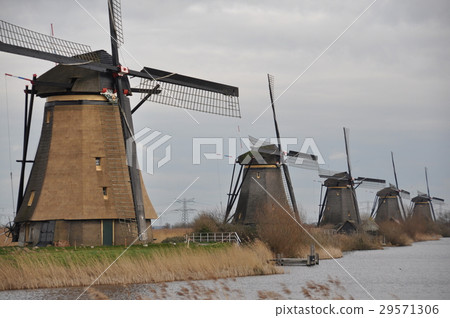 荷蘭的風車 29571306
