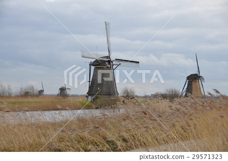 Windmill of the Netherlands Windmill of the Netherlands 29571323
