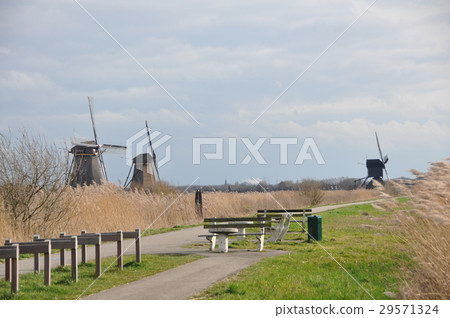 Windmill of the Netherlands Windmill of the Netherlands 29571324