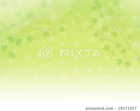 新鮮的綠色日本紙插圖楓背景 29571957