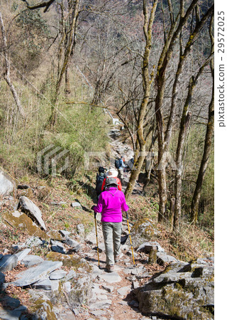 Hiking to Himalaya mountain in Nepal , trekking  29572025