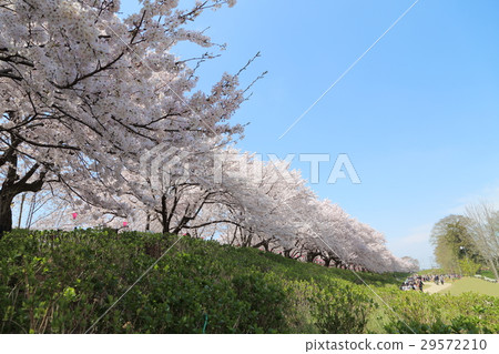 Gongendo embankment 29572210