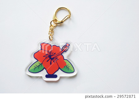 原始鑰匙扣芙蓉 29572871