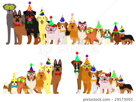 Border party of dogs arranged in order of height 29573093