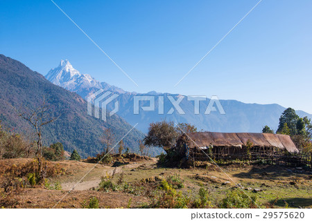 hilltop of snow mountain view hilltop of snow mountain view 29575620
