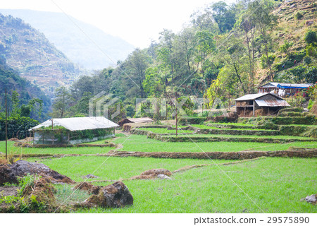 small home on the way to Annapurna base camp 29575890