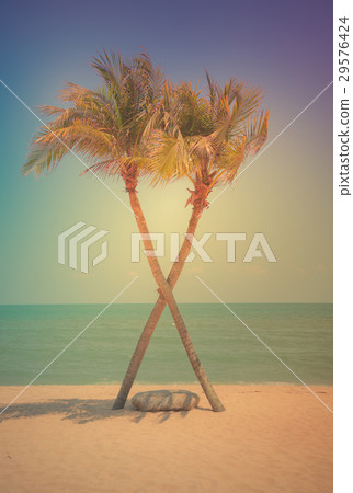 Two coconut palm tree cross on the tropical beach Two coconut palm tree cross on the tropical beach 29576424