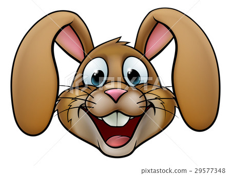 Easter Bunny Rabbit 29577348
