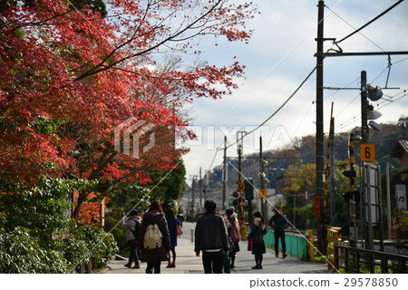 鎌倉 楓紅 鐵道 29578850
