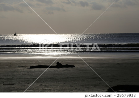 Sea Sea 29579938
