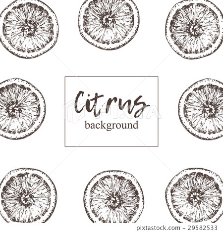 Frame of isolated hand drawn oranges in sketch 29582533