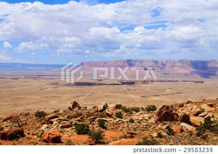 Panorama from Arizona 29583239