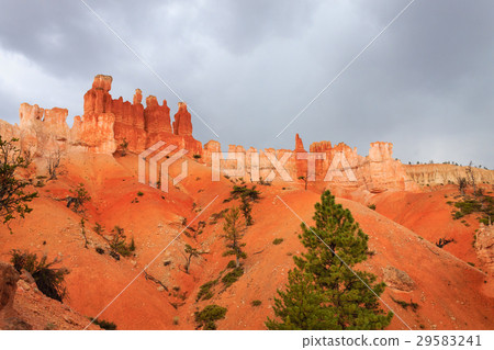 Panorama from Bryce Canyon National Park, USA 29583241
