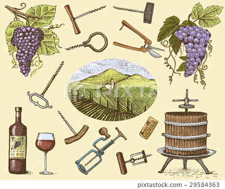wine harvest products, press, grapes, vineyards 29584363