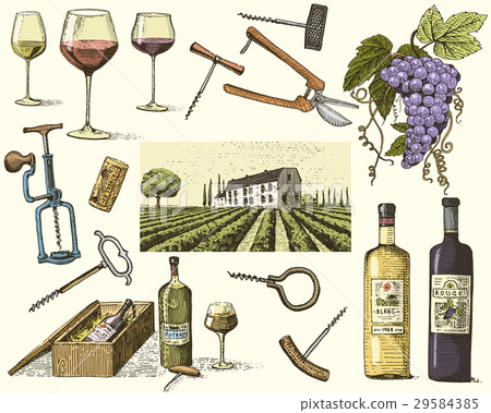 wine harvest products, press, grapes, vineyards 29584385