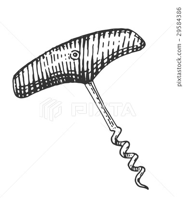 corkscrew isolated on white hand drawn engraved 29584386