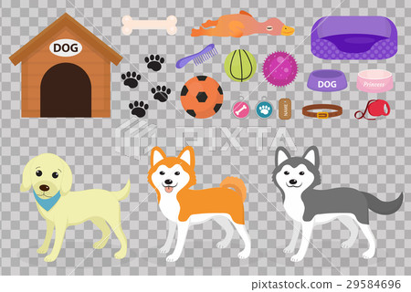 Dogs stuff icon set with accessories for pets Dogs stuff icon set with accessories for pets 29584696