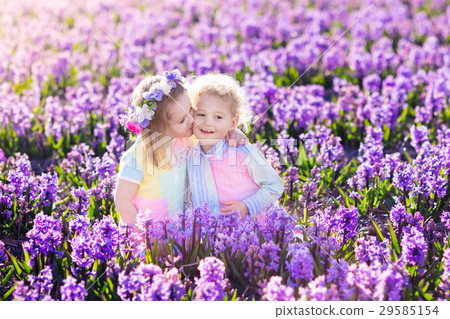 Kids in blooming garden with hyacinth flowers Kids in blooming garden with hyacinth flowers 29585154