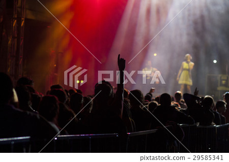 summer music festival 29585341