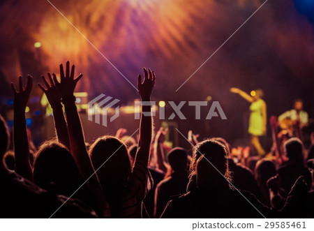 crowd at concert - summer music festival 29585461