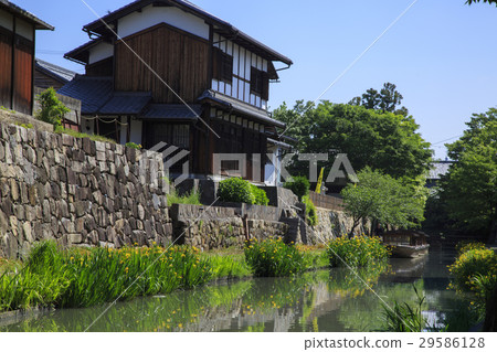 初夏的Yawata護城河 29586128