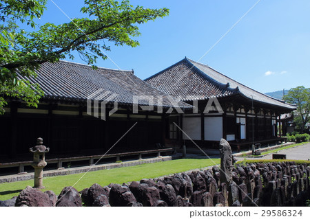 奈良Genzoji寺禪室和大廳 29586324