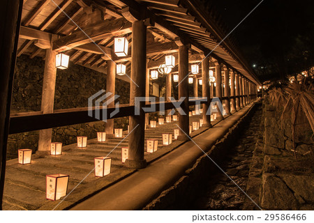 Nara Hase  -  ji新年走廊觀音的燈會 29586466