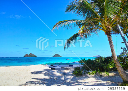 夏威夷Lanikai海灘 29587339