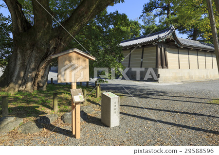 京都御所的Ryou·Shimizuya家族 京都御所的Ryou·Shimizuya家族 29588596