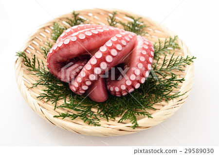 煮章魚 煮章魚 29589030