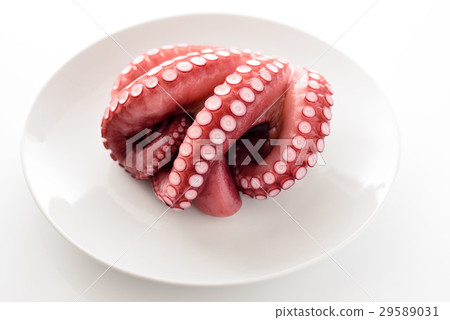 煮章魚 煮章魚 29589031