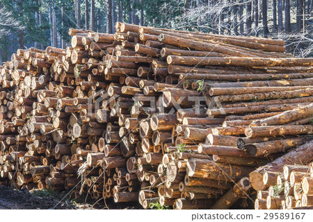 記錄後堆疊的日誌 記錄後堆疊的日誌 29589167